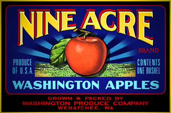 LHF Thick and Thin font