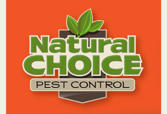 LHF Alarm Block font