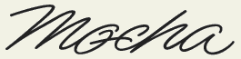 LHF Mocha Script - Font from city and state truck lettering
