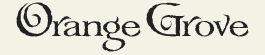 LHF Orange Grove - Whimsical calligraphy style font